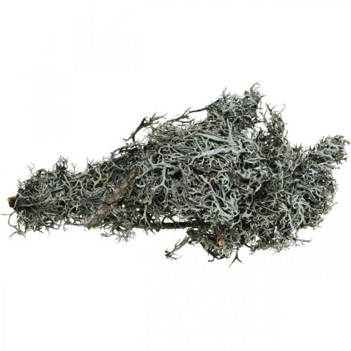 Artikel Deco kviste eg mos mos deco lav naturlig dekoration 750g