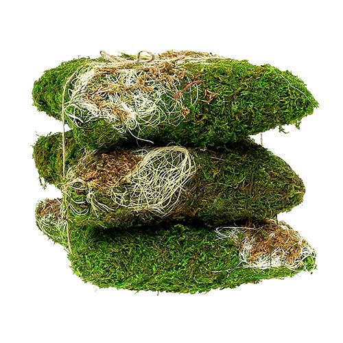 Floristik24 Mosepude til udplantning 20 cm x 20 cm 3stk