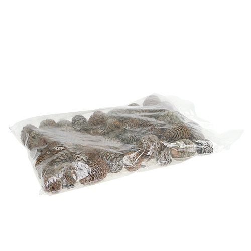 Floristik24 Murii kegler naturlig 500g