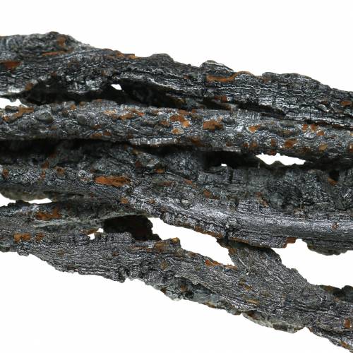 Floristik24 Korkeg grene Muruku grene sorte 100cm 10 stk