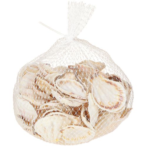 Artikel Skaldekoration kammuslinger i natur 3,5cm–4cm 300g