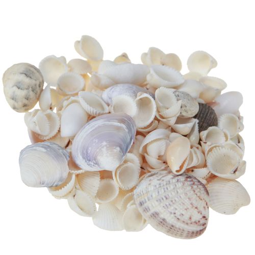 Artikel Skaldekoration mini hjertemuslinger sneglehuse 1-3cm 340g