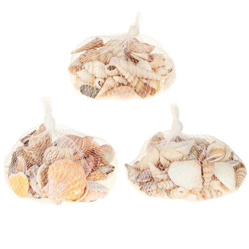 Artikel Skaldekoration havsnegl natur 350g × 3 stk