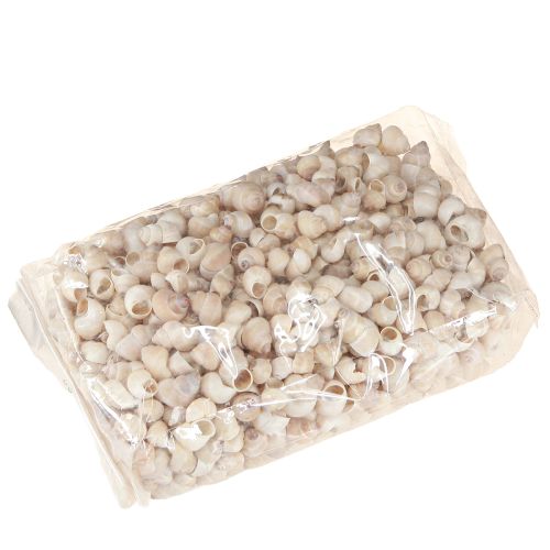 Floristik24 Musling Umachi 500 g