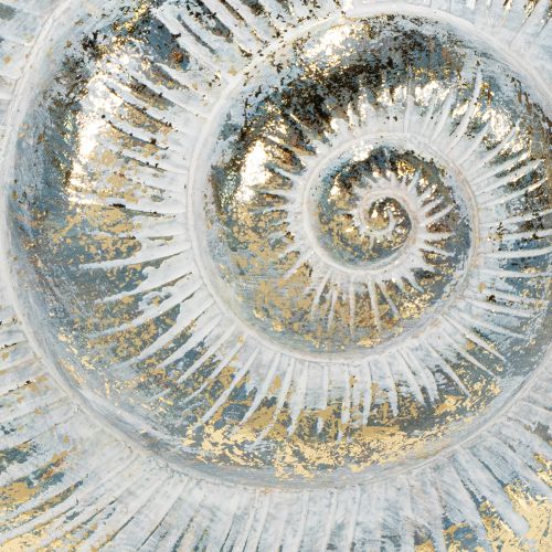 Artikel Dekorativ snegleformet beholder til maritimt og naturligt vægdesign, grå, 21 cm