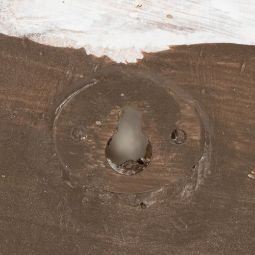 Artikel Dekorativ snegleformet beholder til maritimt og naturligt vægdesign, grå, 21 cm