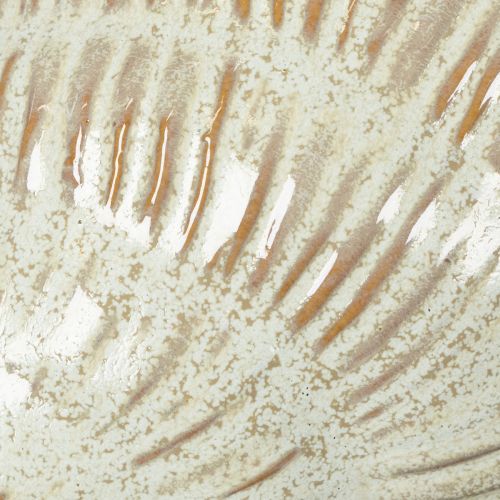 Artikel Keramisk skål med muslingeskaldesign til elegant dekoration i stuen, 23 cm