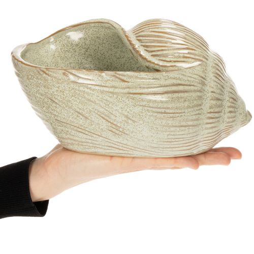 Artikel Keramisk skål med muslingeskaldesign til elegant dekoration i stuen, 23 cm