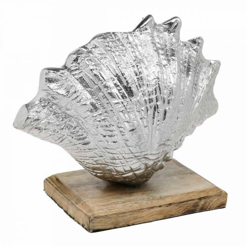 Artikel Skal til opsætning, maritim metaldekoration med træfod sølv, natur 16 × 19 cm