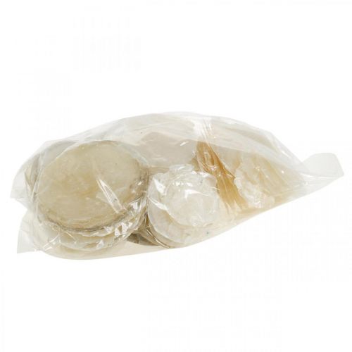 Artikel Stranddekoration, capiz-skaller 5-10 cm, naturgenstande, perlemor, maritim 1 kg