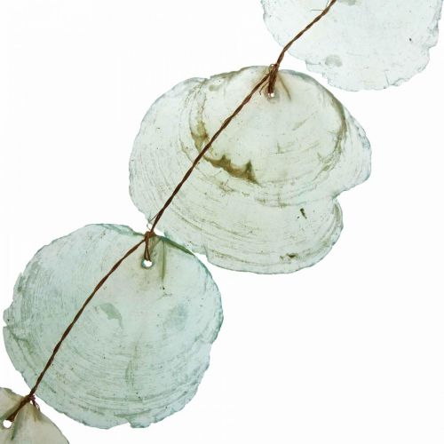 Floristik24 Skal Deco Capiz Garland Skal Garland Grøn 100cm