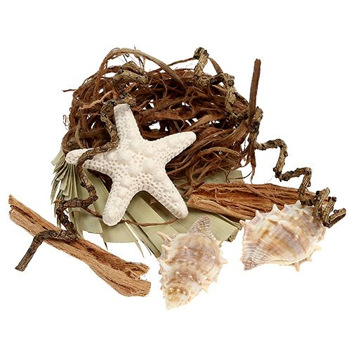 Floristik24 Shell og starfish mix til 150 g