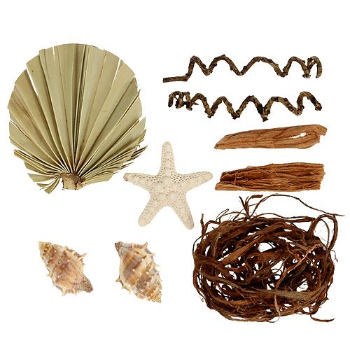 Floristik24 Shell og starfish mix til 150 g