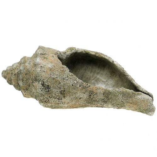 Floristik24 Skal til plantning af L40cm