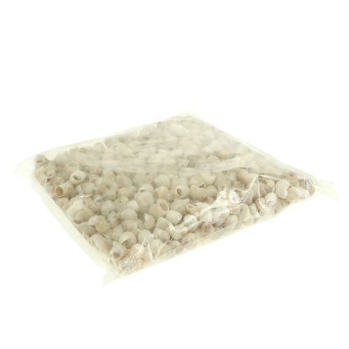 Artikel Musling Umachi 500 g