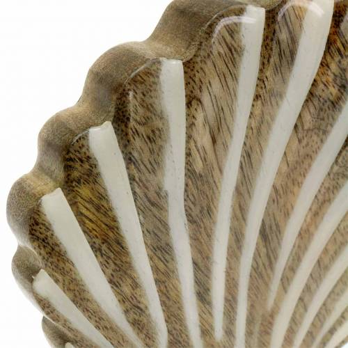 Floristik24 Skal med base træ hvid, natur 20 × 14cm Maritim dekoration til stuen