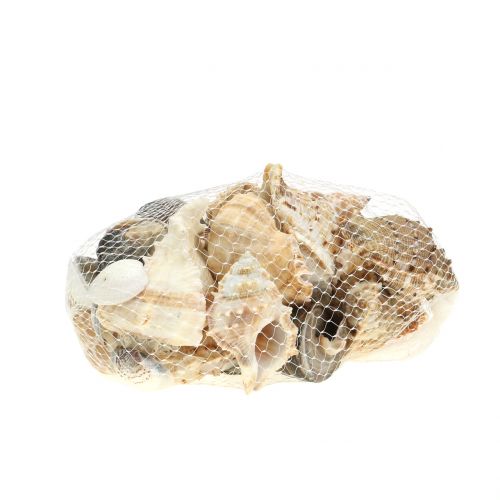 Floristik24 Skal sortiment naturlig 500g
