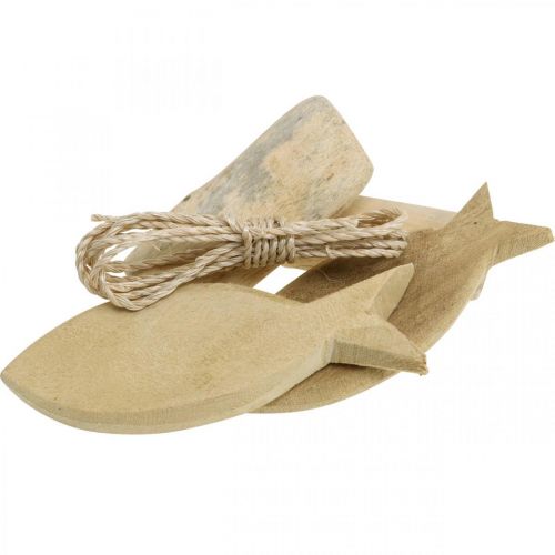 Floristik24 DIY-Box Maritime Naturskaller træ dekorationssæt assorteret