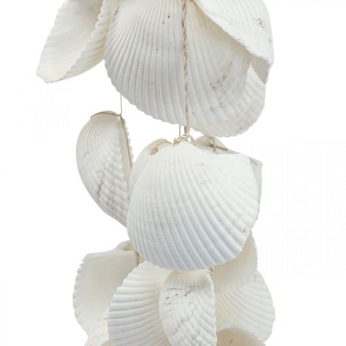 Floristik24 Skalguirlande Maritim dekoration skalguirlande L87cm