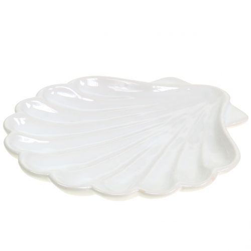 Floristik24 Dekorativ shell shell hvid 15cm x 16cm 3stk