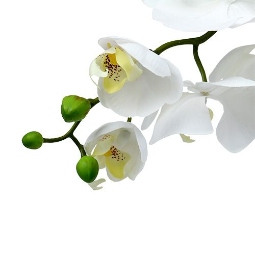 Artikel Moth Orchid 75cm Hvid