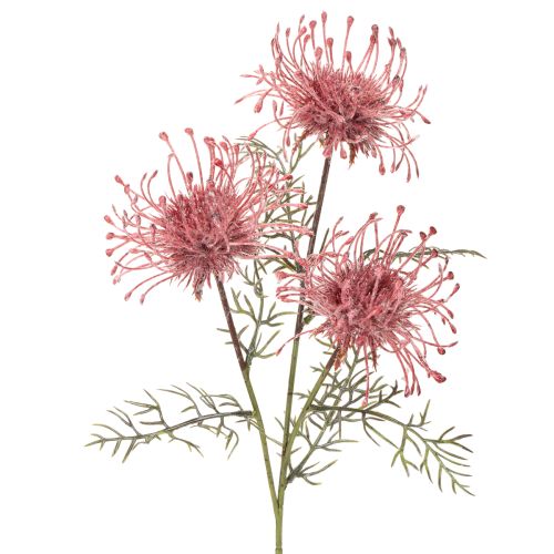 Kunstig blomst nålepude protea blomstrende gren 65 cm 3 stk. købe | Floristik24.dk