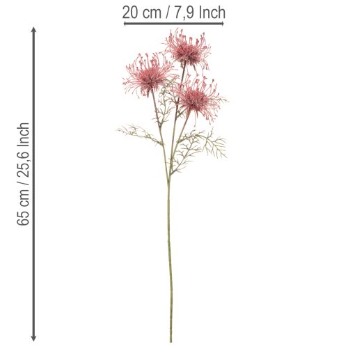 Kunstig blomst nålepude protea blomstrende gren 65 cm 3 stk. | Floristik24.dk