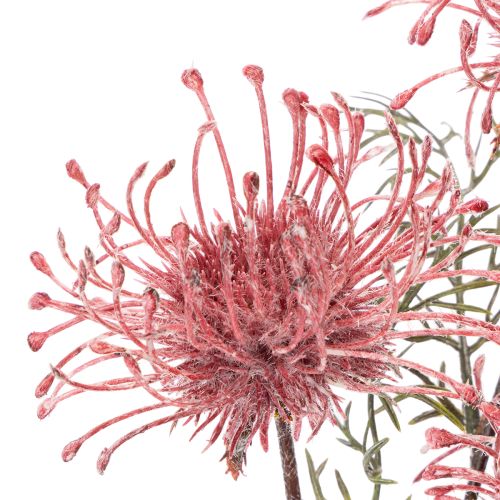 Kunstig blomst nålepude protea blomstrende gren 65 cm 3 stk. | Floristik24.dk