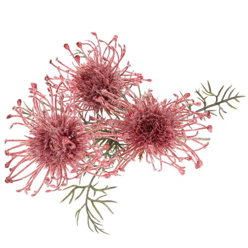 Kunstig blomst nålepude protea blomstrende gren 65 cm 3 stk. | Floristik24.dk