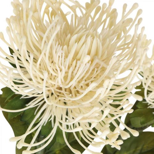Artikel Nålepude kunstige blomster eksotiske Protea Leucospermum creme 73cm 3 stk.