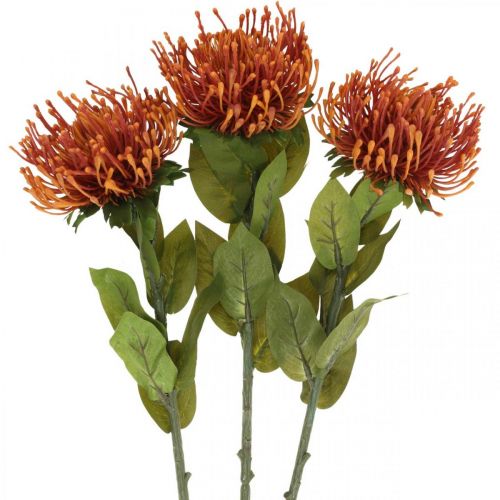 Artikel Nålepude eksotisk kunstig blomst Orange Leucospermum Protea 73cm 3 stk.