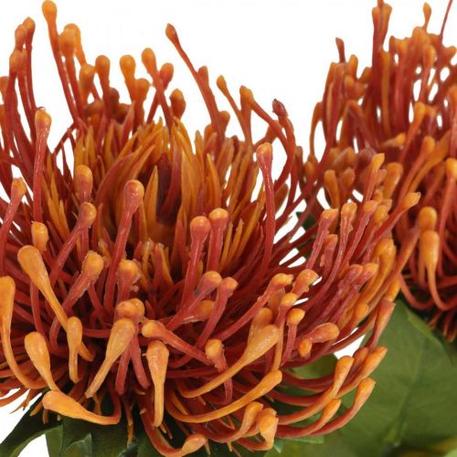 Artikel Nålepude eksotisk kunstig blomst Orange Leucospermum Protea 73cm 3 stk.