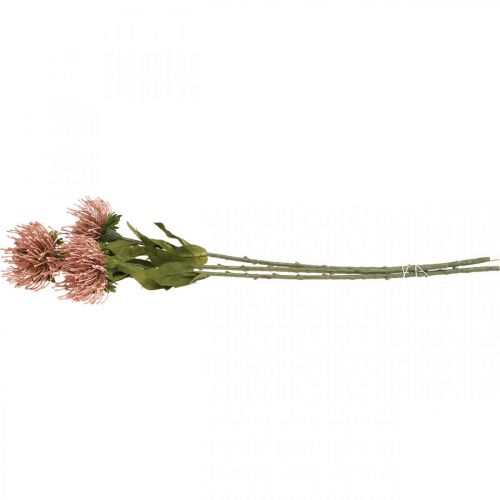 Artikel Efterårsblomst nålepude kunstig Protea Rosa Leucospermum 73cm 3 stk.