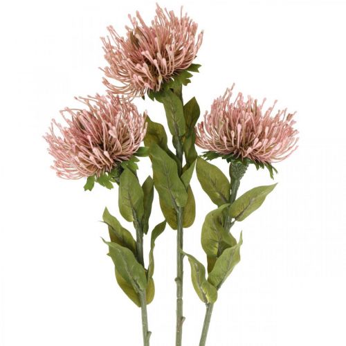 Efterårsblomstnålpude kunstig Protea Rosa Leucospermum 73cm 3stk