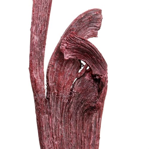 Artikel Natraj gevir træblanding rød, hvidvasket 10 stk