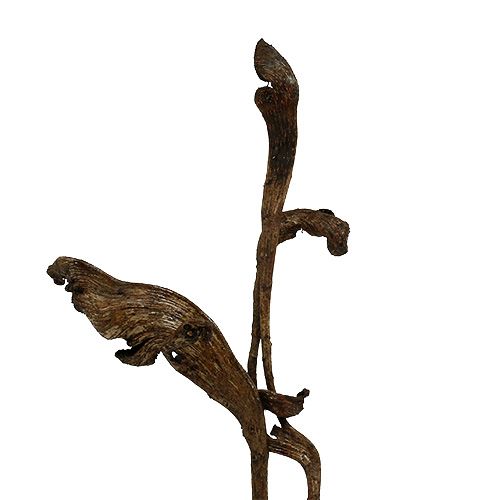 Artikel Natraj Antler Wood Mix Natural 10 stk