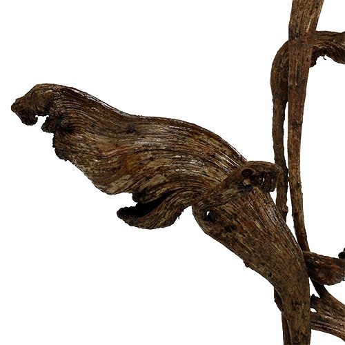 Artikel Natraj Antler Wood Mix Natural 10 stk
