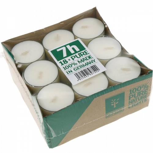 Floristik24 PURE Nature Lights Fyrfadslys Rapsvoks Naturlig Brændetid 7 Timer 18 stk.