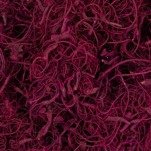 Artikel Naturlige tamarindfiber-håndværksartikler, Bourgogne, 500 g - Dekoration, Blomsterdekorationer, Kreativitet