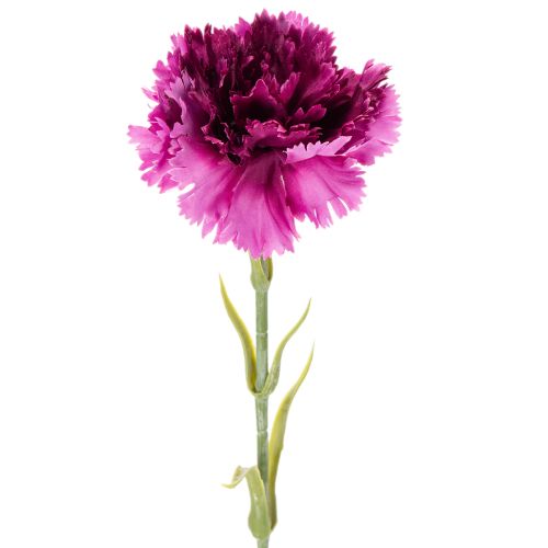 Kunstig nellike, tofarvet, lang stilk 56 cm, bundt med 8 stk. købe | Floristik24.dk