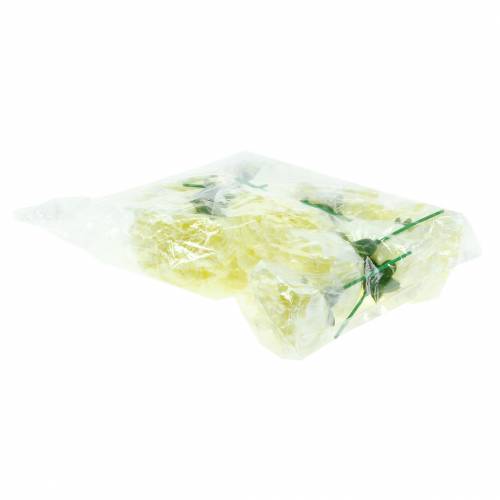 Artikel Nellikeblomst hvid Ø9cm 12stk