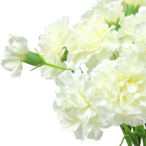 Floristik24 Nellike hvid 64cm 4stk
