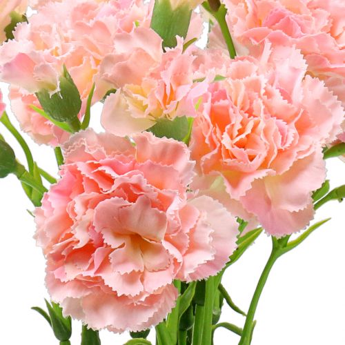Floristik24 Nellik pink 64cm 4stk