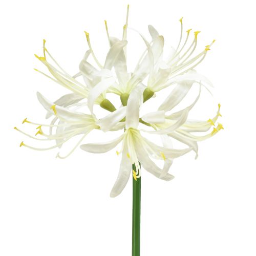 Nerine Guernsey Lily Kunstig Blomst Hvid Gul Ø15cm L65cm