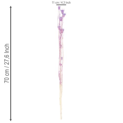 Artikel Tørrede Nigella-blomsterbuket, dekorativ brug i stuen, skaber en unik atmosfære, 70 cm, 50 g