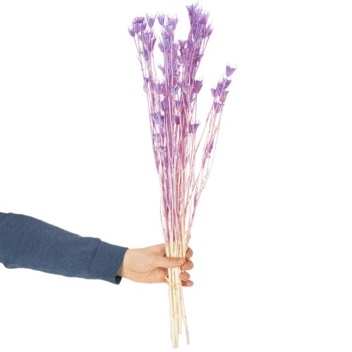 Artikel Tørrede Nigella-blomsterbuket, dekorativ brug i stuen, skaber en unik atmosfære, 70 cm, 50 g