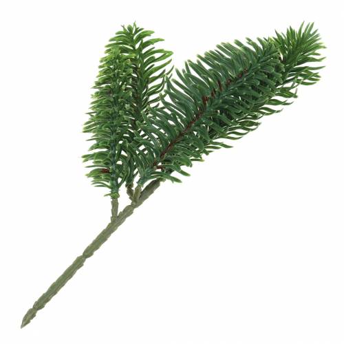 Floristik24 Nobilis grangran kunstgrøn 24cm 12stk