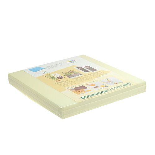 Floristik24 OASIS® Designer Tallerkener Ivory Ivory 3 stk