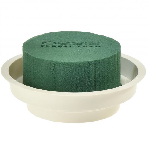 Floristik24 OASIS® Junior Komplet 12 stk
