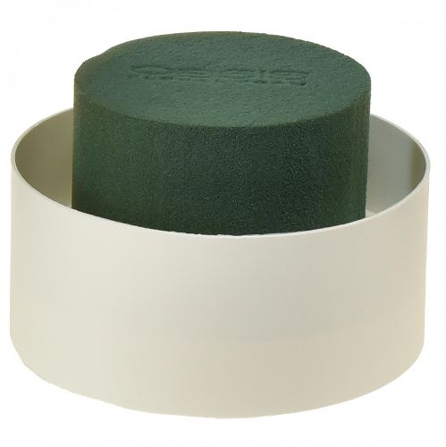 Floristik24 OASIS® Borddesign Viva Ø11cm 12 stk
